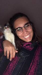 Lost cat in Meadow Drive neighborhood found safely