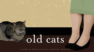 He and his friends are planning on taking a road trip north to experience a legendary shamanistic hallucinogen called the san pedro cactus. Crystal Fairy Scene Youtube