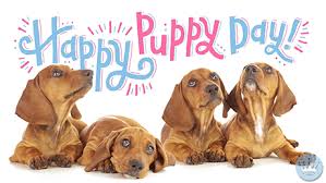 National dog day is established by colleen paige who chooses august 26 because that was the day her family brought home her first dog. Happy Puppy Day Gifs Get The Best Gif On Giphy