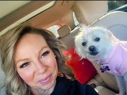 Adorable White Shepherd Dogs Napping After Playtime