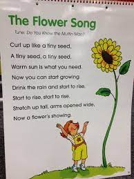The Flower Song Preschool Songs Spring Preschool Classroom Songs
