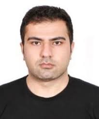 Improving Persian Named Entity Recognition Through Multi Task Learning