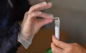 Corona Warum In Der Praxis Falsch Positive Pcr Tests Selten Sind