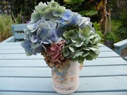 Hydrangeas are a popular flower that can easily be added to your home. 39 Dried Hydrangea Flowers Ideas Dried Hydrangeas Dried Flowers Hydrangea Flower