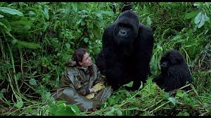 Gorillas in the Mist (Mill Creek) Blu-ray Review