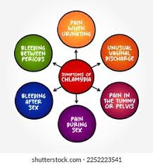 Image result for chlamydia symptoms