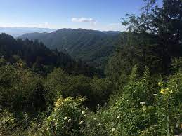 Located near atlanta, georgia kennesaw mountain is a 2,965 acre national battlefield that preserves a civil war battleground. National Parks Near Atlanta Travel Channel