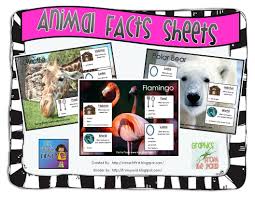 Clip Art By Carrie Teaching First Animal Education Animal Habitats Teaching Homeschool