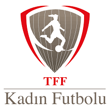 Download wallpapers altinordu scorched logo turkish 1 lig blue. Tff Logo Kullanimlari Lig Logolari Tff