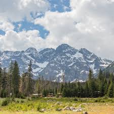 Greg Magiera (@g_r_e_m_e) • Instagram photos and videos