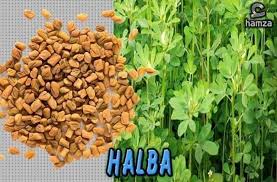 Pokok tepus (amomum krervanh) / amomum lappaceum). Ketahui Rupa Bentuk Rempah Ratus Sebelum Di Keringkan Dan Sampai Ke Dapur Rumah Kita Blog Santai Santai Jerr