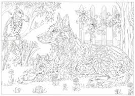 8.5 x 0.14 x 11 inches. Pin On Adult Coloring Pages To Save And Print