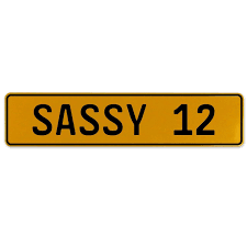 Sassy_12