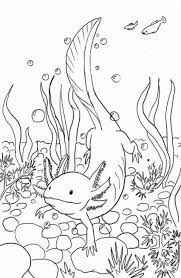 The axolotl, also called the mexican walking fish, is not a fish but an amphibian. Animal Art Ideas For Kids Coloring Pages 51 Ideas Axolotl Weird Animals Vbs Art