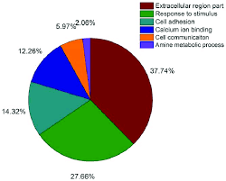 Pie Chart Of Go Term Appearing Frequencies Among The Urinary