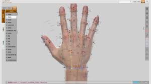Buy Hand Acupuncture Microsoft Store En Zw