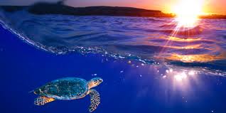 A republic consisting of three volcanic islands in the indian ocean , off the nw coast of. Comoros Air Austral Destinations Flights From Reunion France Mayotte To Comoros
