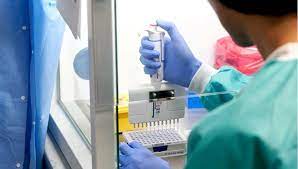 Namely, in their respiratory canal. Negatif Garantili Pcr Testi Dolandiriciligi Ntv
