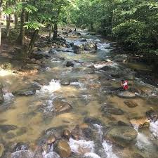 Our visitors will enjoy the beauty of nature with comfortable environment which are peace and quiet. Photo3 Jpg Picture Of Sungai Tua Recreational Forest Selangor Tripadvisor