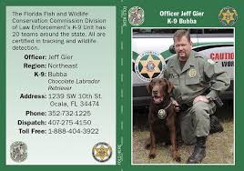 Officer Jeff Gier And K 9 Bubba Work In The Fwc S Northeast Region Officer Gier Is A Veteran Officer Who Of Florida Fish Chocolate Labrador Retriever Wildlife