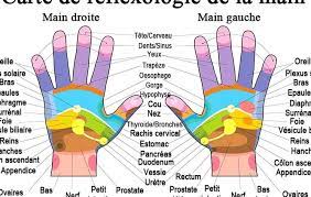 Hand reflexology chart free vector. 35 High Resolution Hand Reflexology Chart Images Reflexologytips