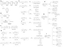 Amino Acids - Sulfur-Containing