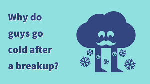 Others hope this will improve their personal lives. Why Do Guys Go Cold After A Breakup Magnet Of Success