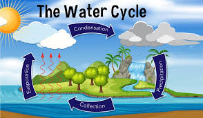 For the water cycle to work, water has to get from the earth's surface back up into the skies so it can rain back down and ruin your parade or water your crops or yard. New Diagrams Depict An Alternate View Of How Humans Impact Water Cycle The Week
