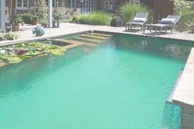 Zugleich sorgt die bepflanzte regenerationszone optisch für einen harmonischen übergang zum garten. Schwimmteiche Und Naturpools Vom Fachbetrieb In Rastede Bei Oldenburg