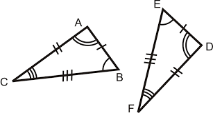 From the above, we can say that all congruent figures are similar but the similar figures need not be congruent. Cpctc Read Geometry Ck 12 Foundation