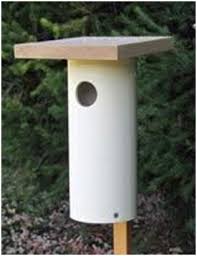 We review the most exciting gadget to happen to i ordered an eco egg from amazon and it was delivered the next day, so i popped it straight in with my. Making Bird Houses With Unused Material At Home Deep Jungle Home