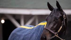 Derby winner medina spirit has tested positive for corticosteroid betamethasone. Baffert Says Medina Spirit In Top Five Or 10 For Kentucky Derby