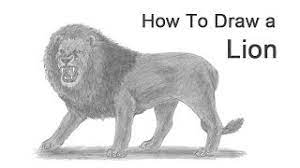Simply draw out the shape of the lion's nose and don't forget to include the details as well as the nostrils. How To Draw A Lion Roaring