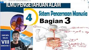 Hal ini yang memicu terjadinya pemanasan global. Ipa Kelas 8 Bab 4 Sistem Pencernaan Manusia K13 Revisi 2017 Bagian 3 Youtube