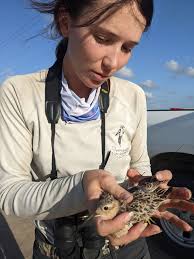 Green Photo Simple Annual Report (Magazines)