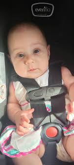 Northumberland. This is the 5th year for this Little Tiger from Wilko. And  I still look forward to it every year.