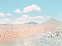 Aug 16, 2021 · jawapan wow gurun atacama 11. Atacama Desert Travel Story By Anna Doshina Shoot It With Film