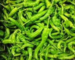 Tazemasa Com Taze Masa Tazemasa Organik Urun Kahvaltilik Meyve Sebze Zeytin Zeytinyagi Salc Stuffed Peppers Green Chili Peppers Stuffed Green Peppers