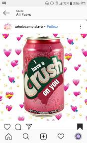 Wholesome memes for your crush. Send This To Your Crush Wholesomememes