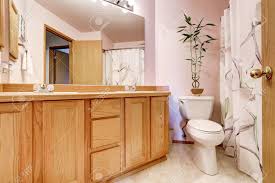 Style and storage space abound in this bathroom sink vanity. Bathroom Interior With Light Pink Walls And Double Sink Vanity Large Mirror With Lights And Shower Cabin With Floral Patterned Curtain Northwest Usa Stock Photo Picture And Royalty Free Image Image 67009366