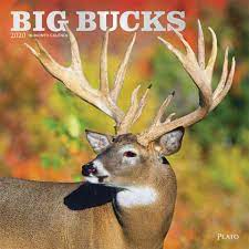 Pin On 2022 Animal Calendars