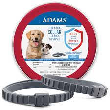 Coconut oil has a high content of lauric acid, which transforms into monolaurin  1  , a compound that kills fleas as well as aids in treating infections and skin irritations caused by flea bites. Adams Flea Tick Collar For Dogs And Puppies 2 Pack Value Pack Walmart Com Walmart Com