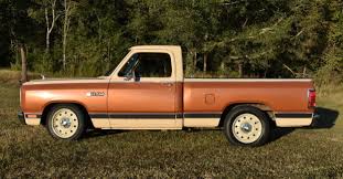 Image result for Sable Brown 1984 Dodge