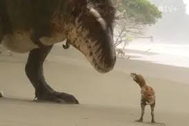 Image result for Vausagesia