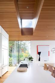 glass and cedar cabin looks