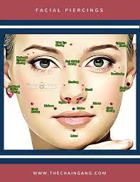 Facial Piercings Infographic Facial Piercings Piercings Face Piercings
