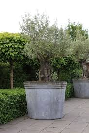 37 the importance of metal bucket pot pecansthomedecor com mediterrane tuin tuin tuin ideeen