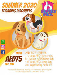 Day of arrival, day of departure and all days booked are charged for. Homely Petz Uae Homelypetz Twitter