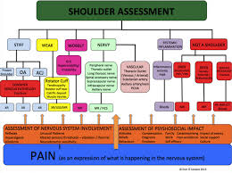 shoulder examination physiopedia