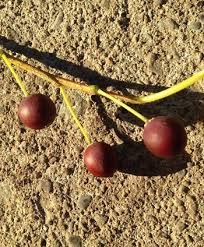 Check spelling or type a new query. The Common Hackberry An Urban Tree That Isn T So Common Leaf Local Enhancement Appreciation Of Forests